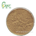 Factory supply pure natural plant extracts Rhizoma zedoariae extract